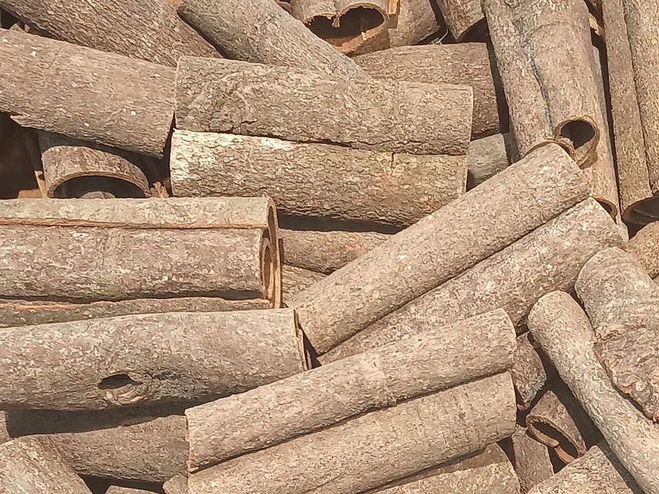 Vỏ quế
